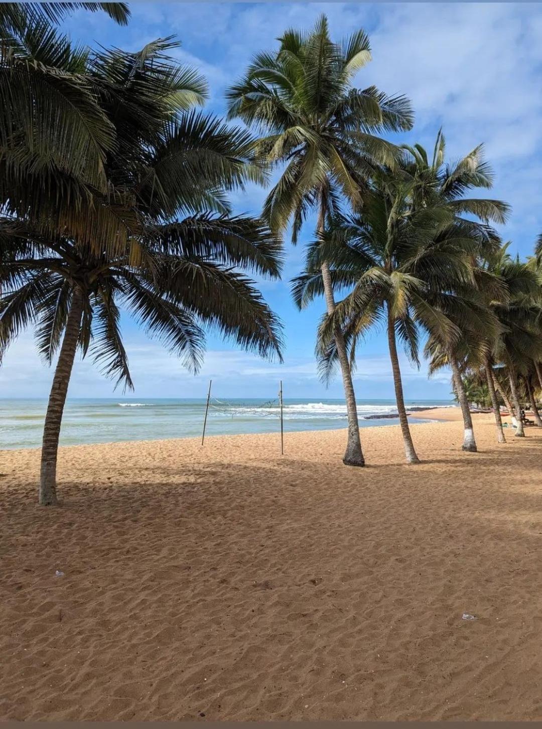 Готель Afiki Elmina Екстер'єр фото